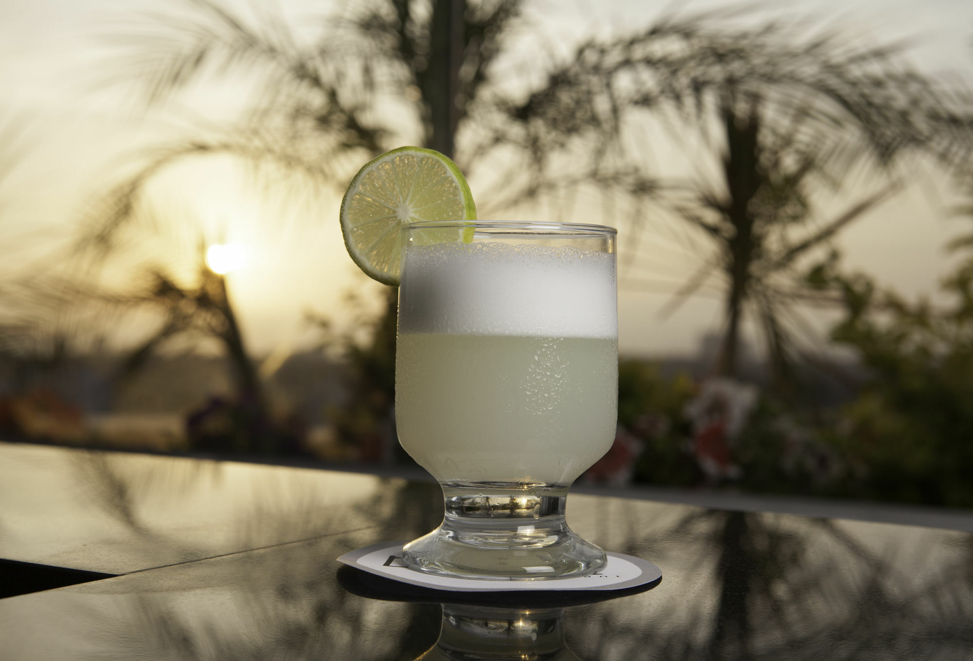 Hotel Palmetto Business La Perla Lima