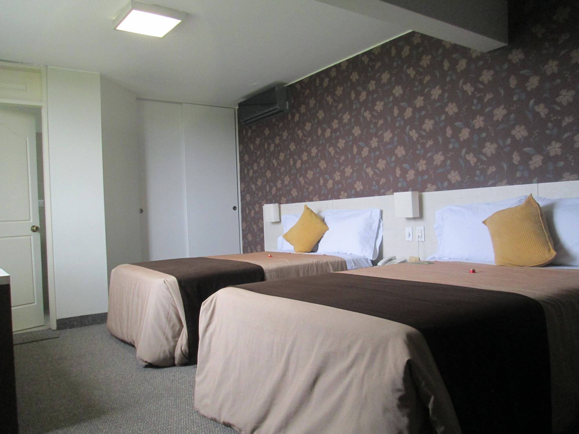 Hotel Palmetto Business La Perla