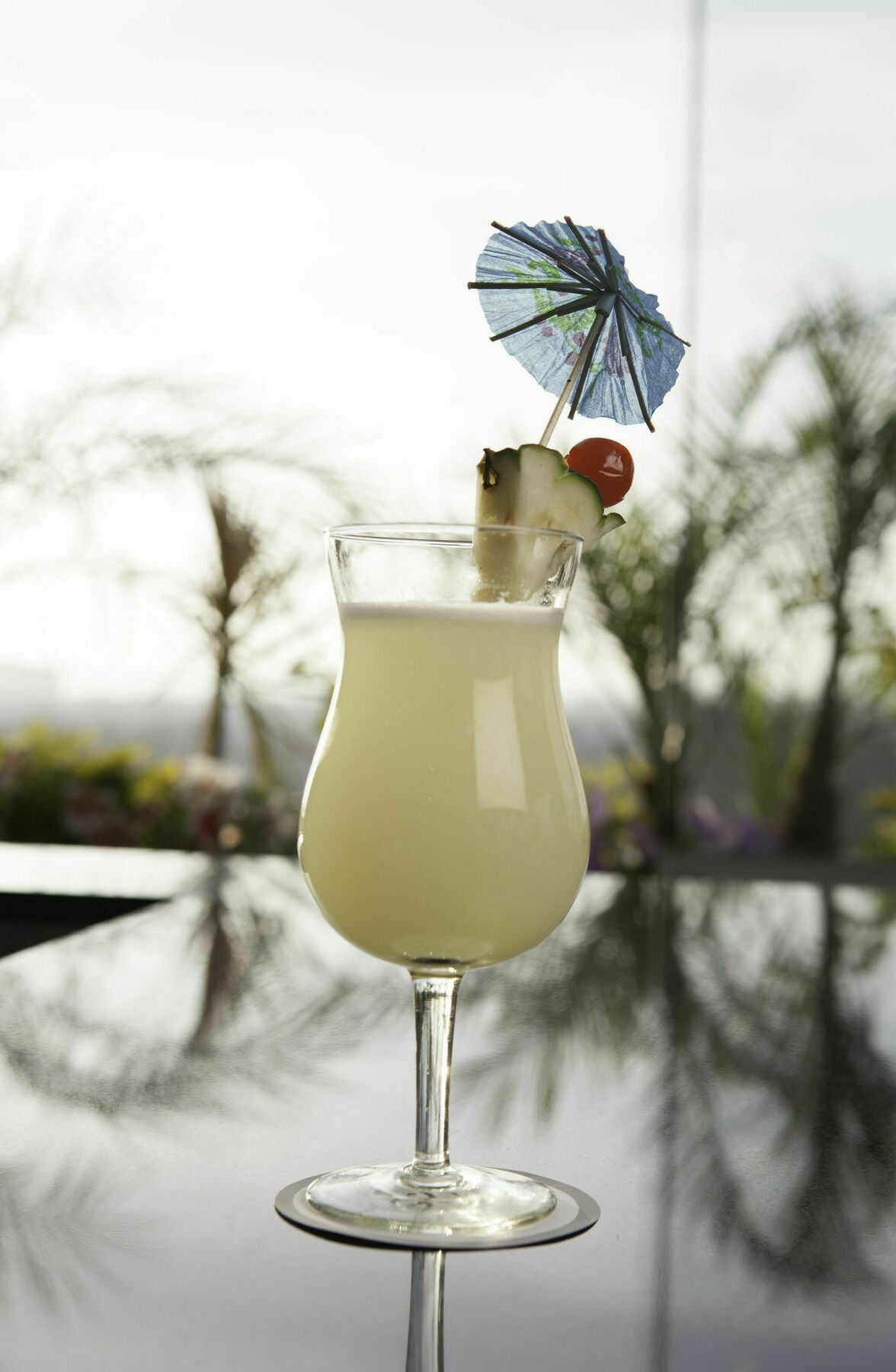 Palmetto Hotel Business La Perla Hotel 3*