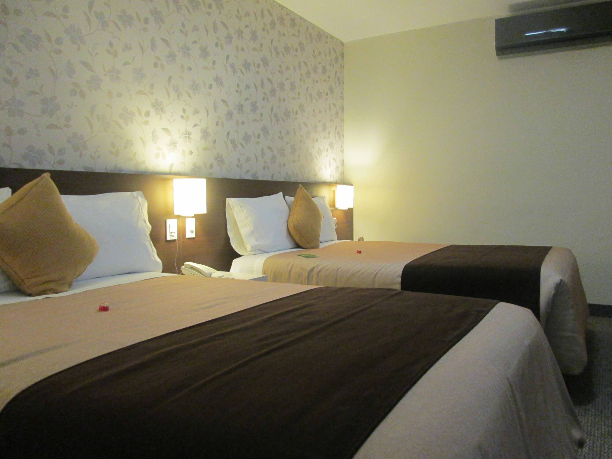 Palmetto Hotel Business La Perla Lima